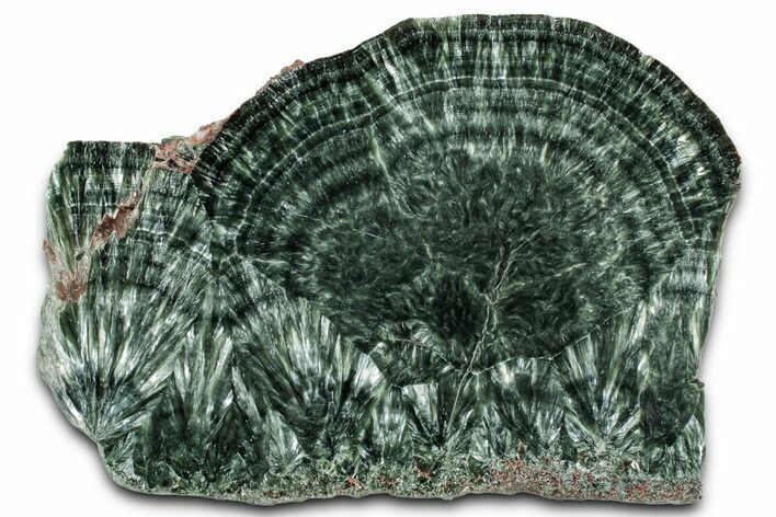Polished Seraphinite Slab - Korshunovkiy Mine, Siberia #354236